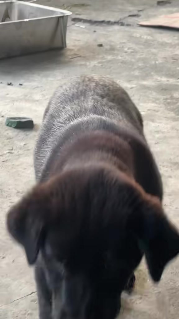@Khi Nào Trắng Thì Đổi Tên(Đen)