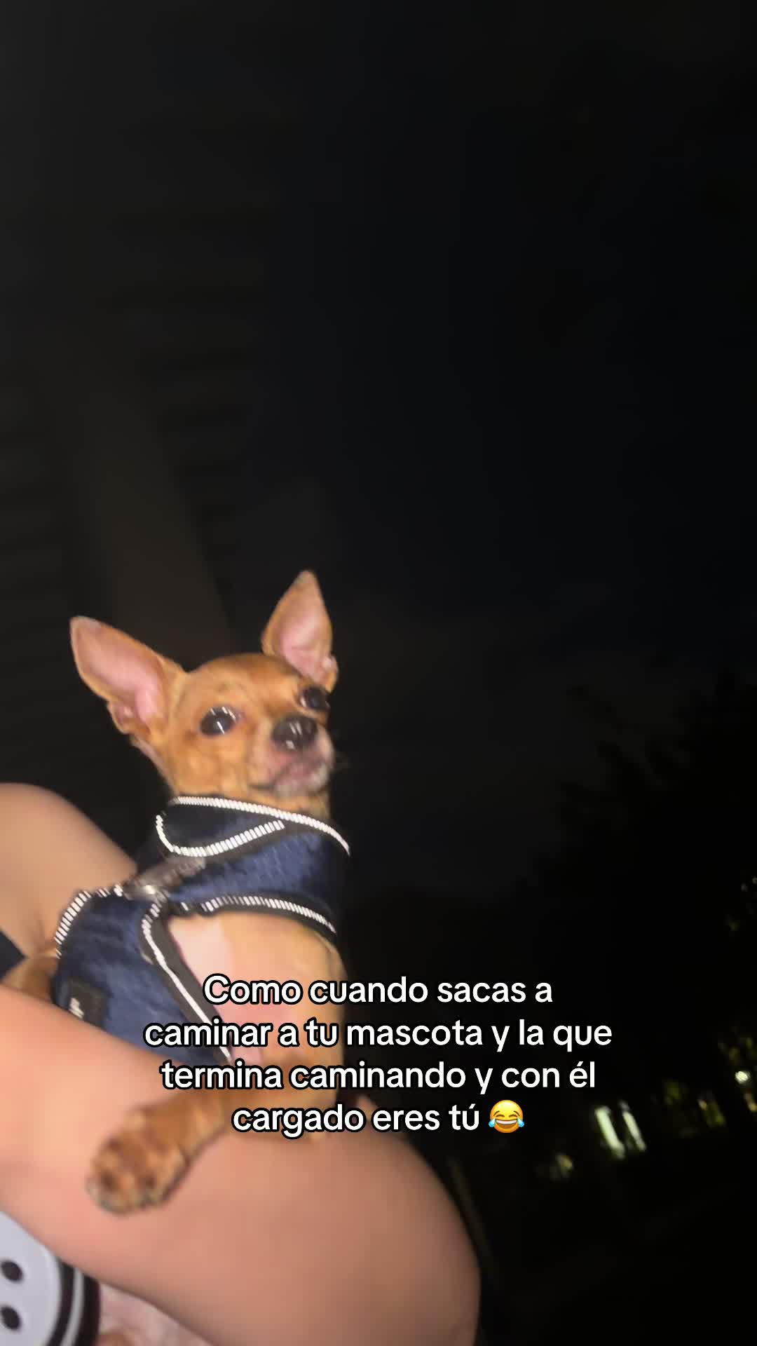 @Gloria Hernandez