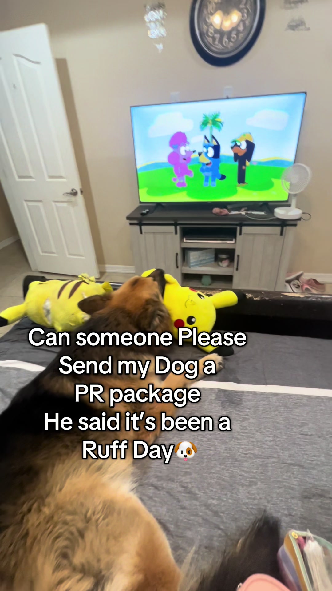 @Gunner GSD🐶