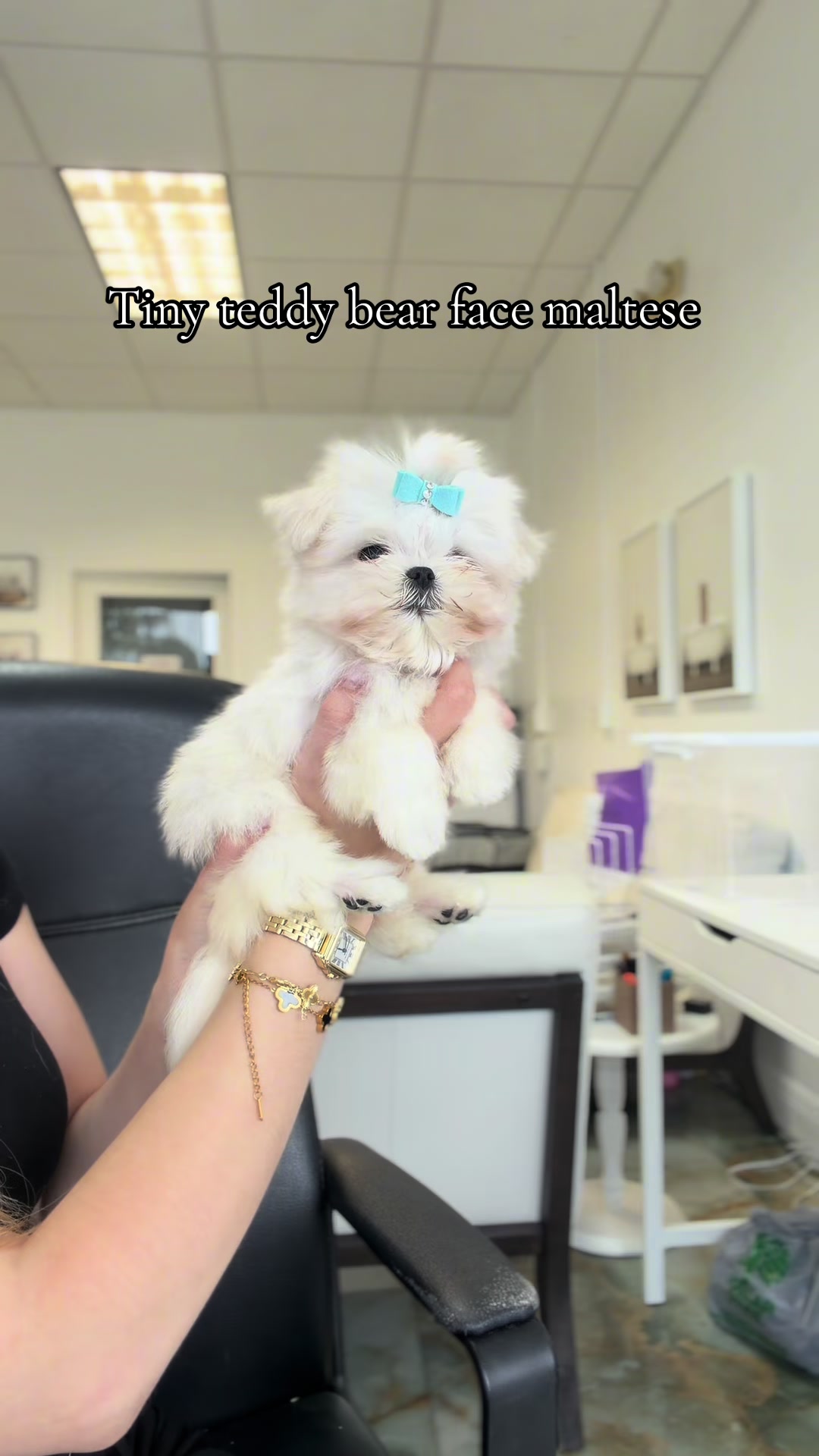@TeaCups, Puppies & Boutique &reg;️