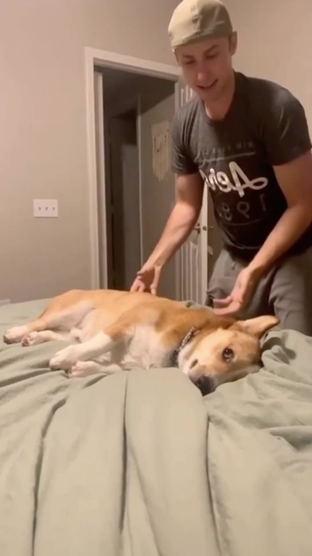 @Funny dogdia80