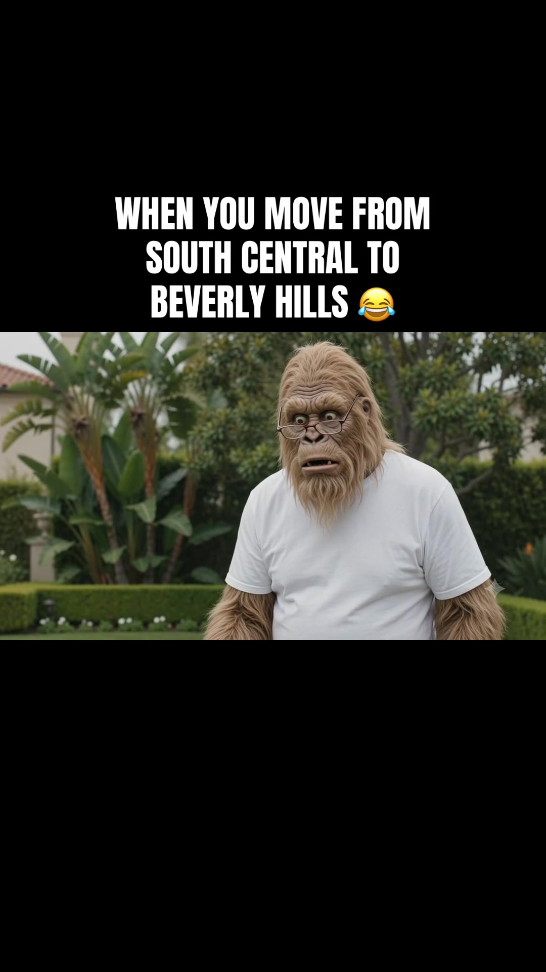 @Gang Land Gorillaz