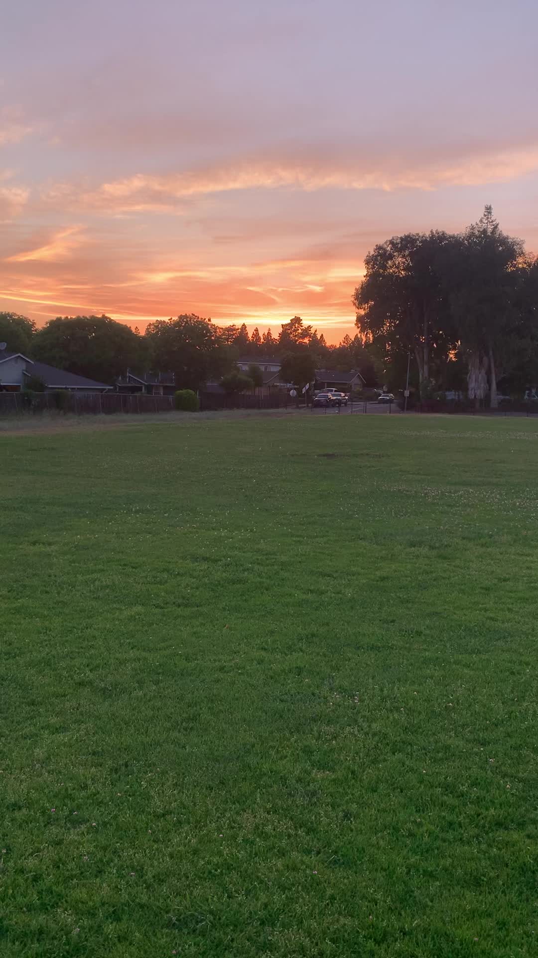 @73.EASTON