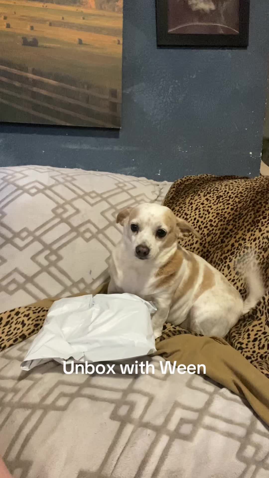 @Ween