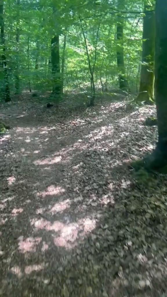 @fakiks🇦🇱🇽🇰🇩🇪