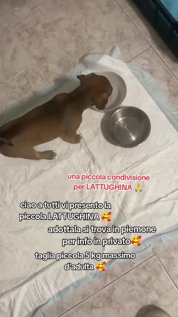 @KIRA❤️LEYLA💙