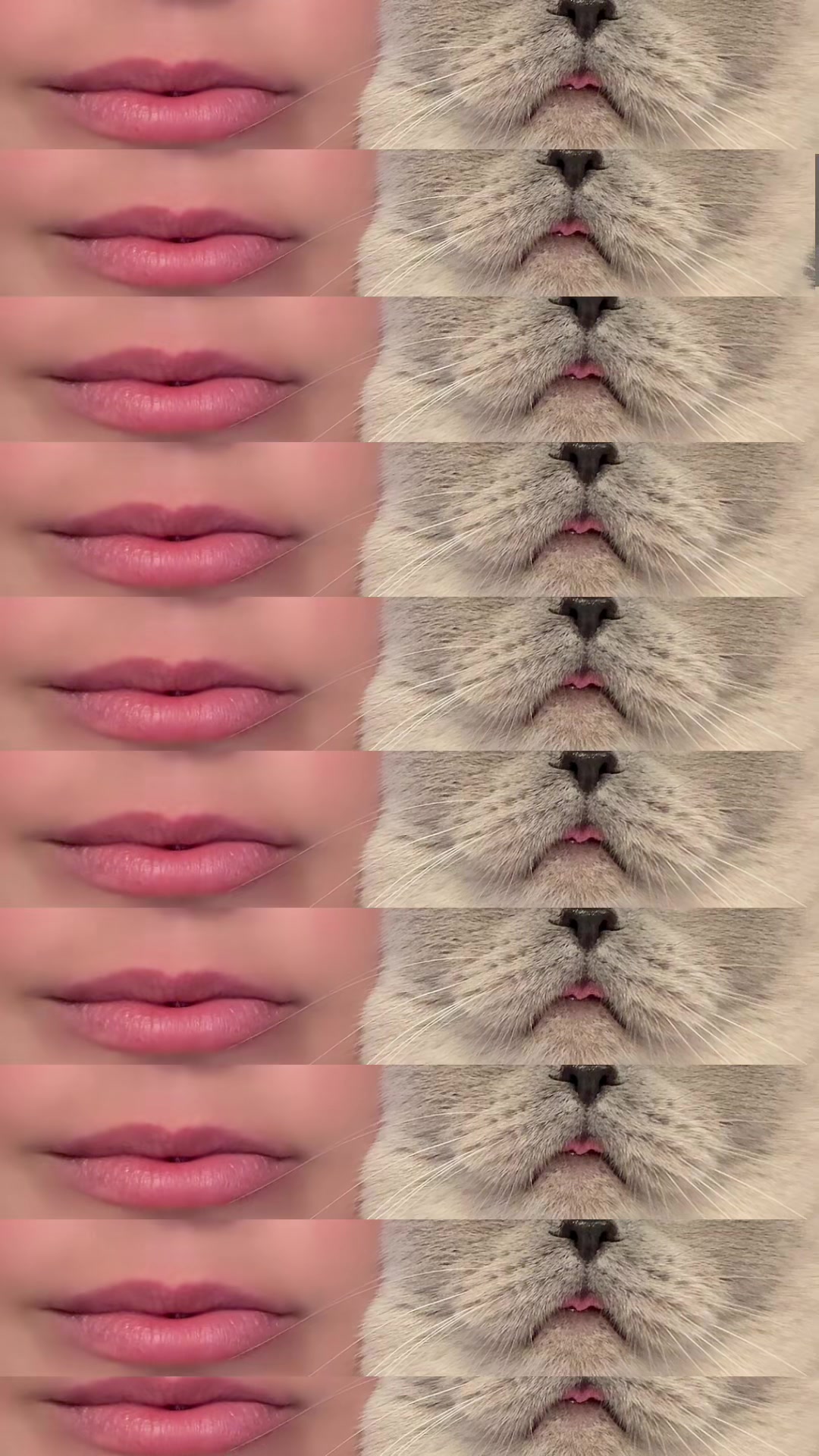 @Anya_Jumprope❤️&zwj;🔥🇲🇩