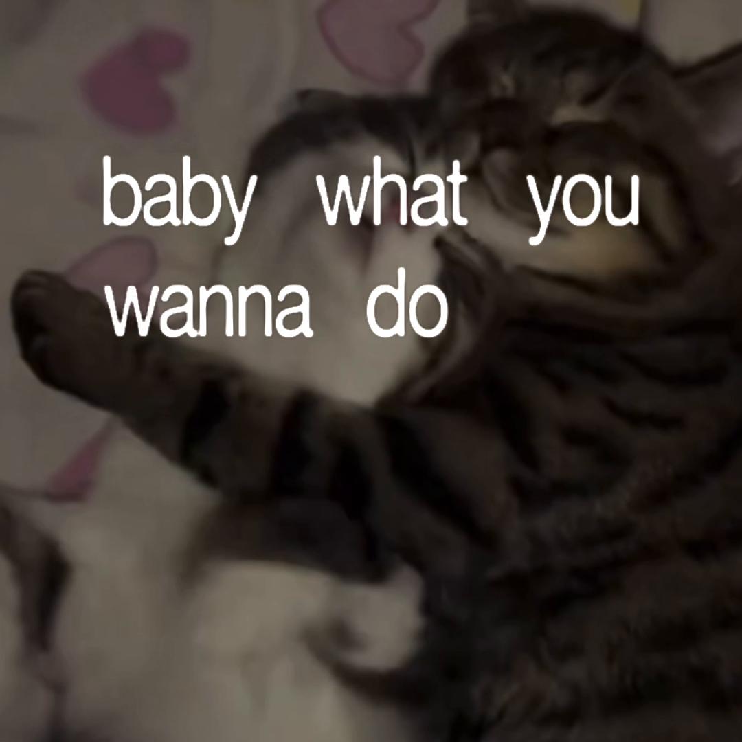 @ze66y