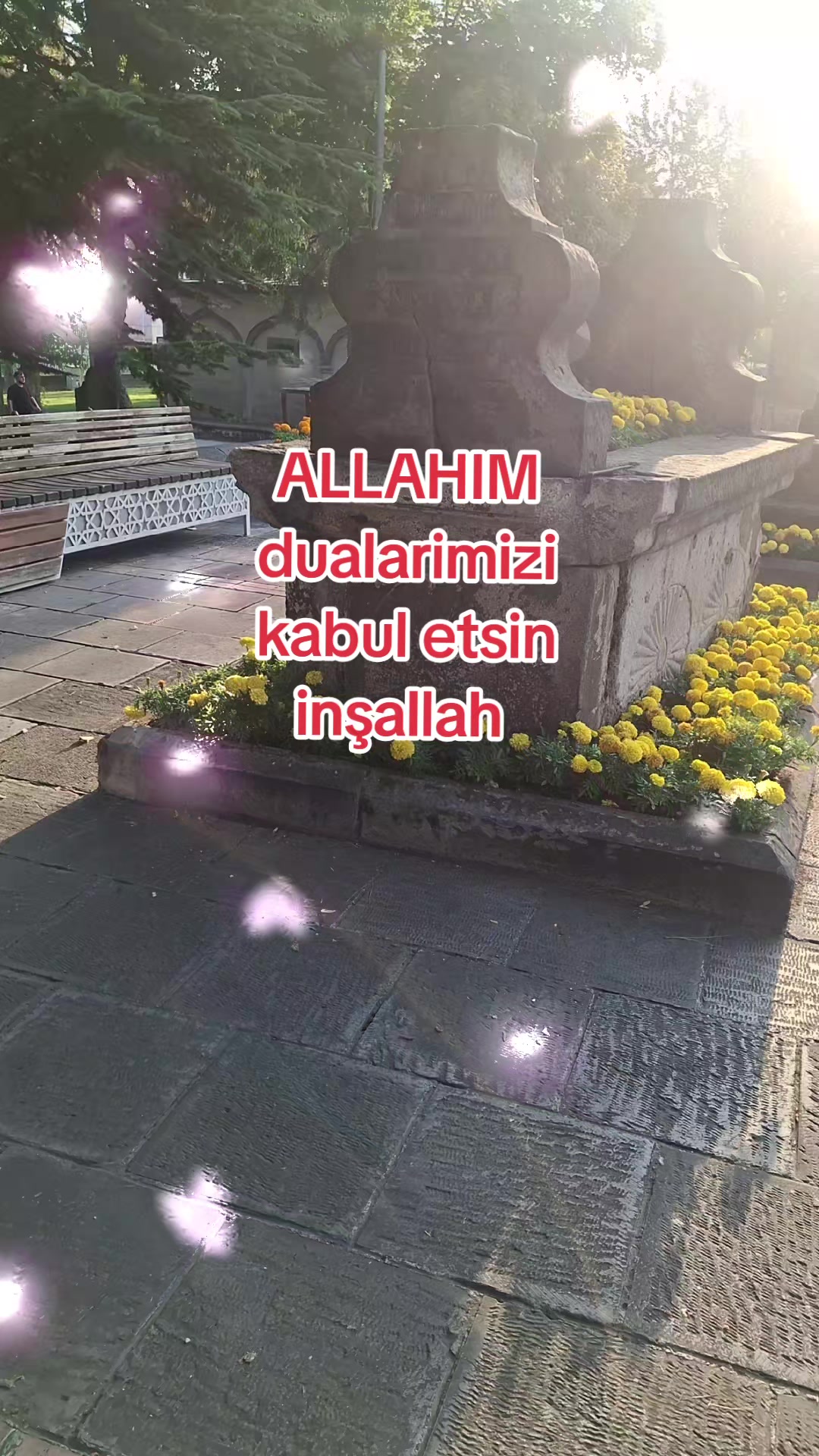 @gulvehsrn