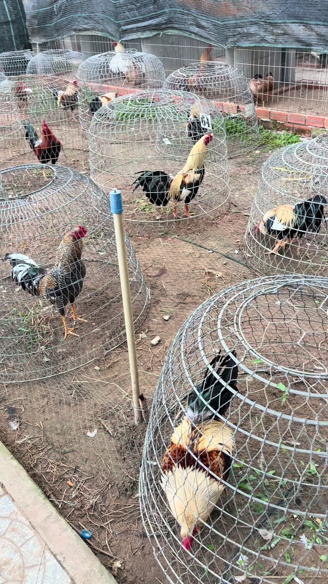 @Quốc Bảo ( baosting)
