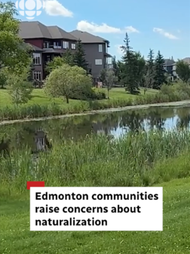@CBC Edmonton