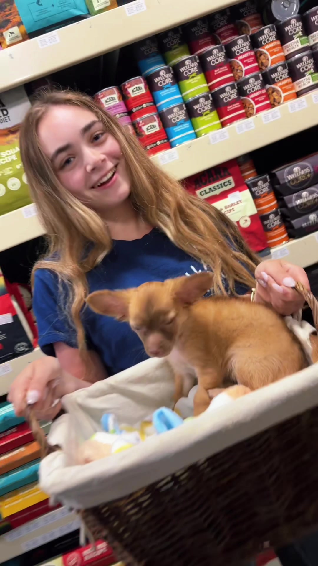@All Pets Club