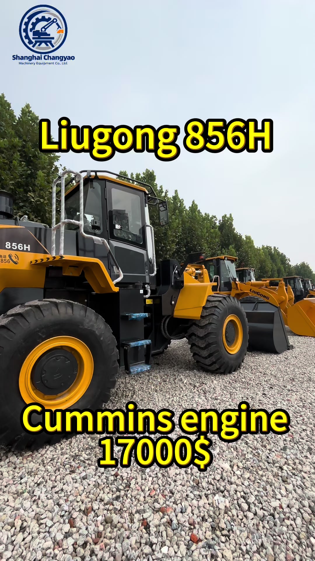 @Shanghai Changyao machinery
