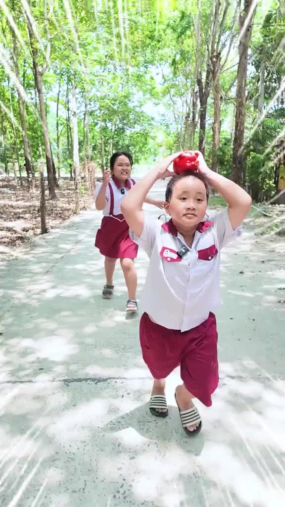 @sheep271