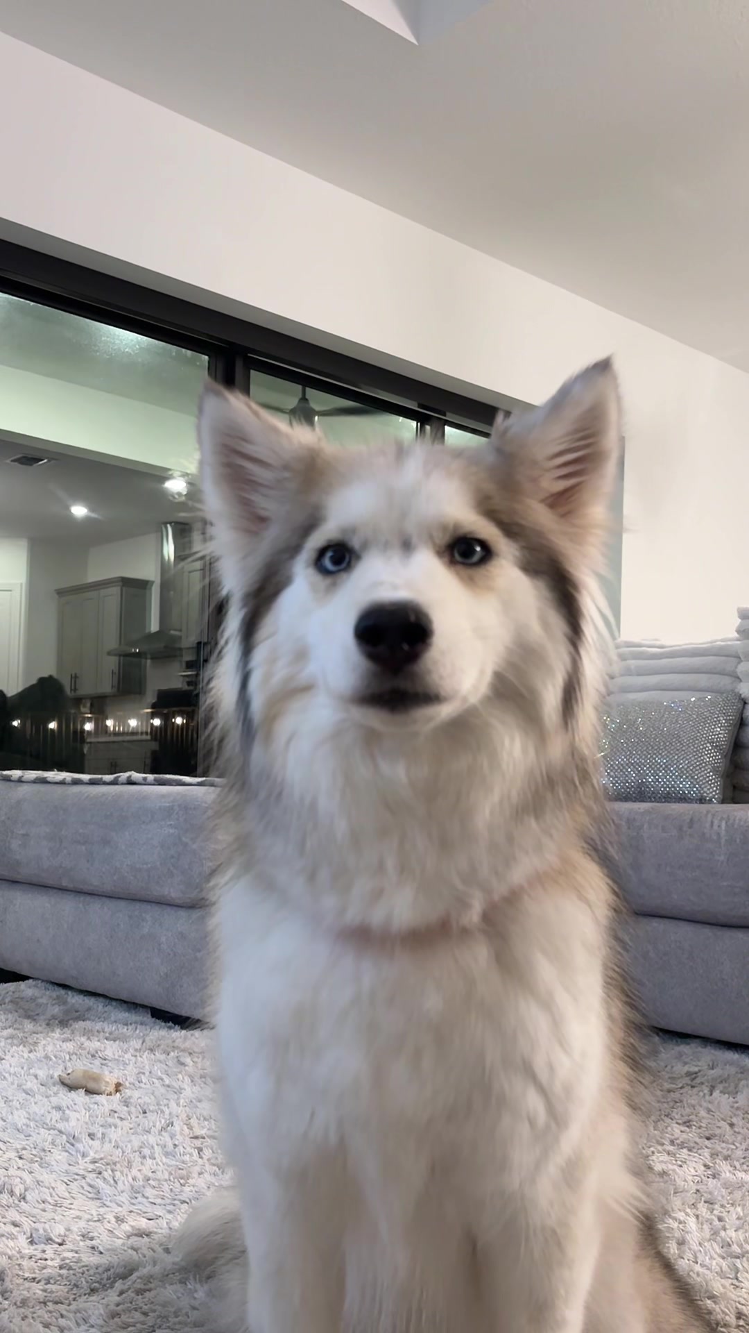 @lifewith2huskies