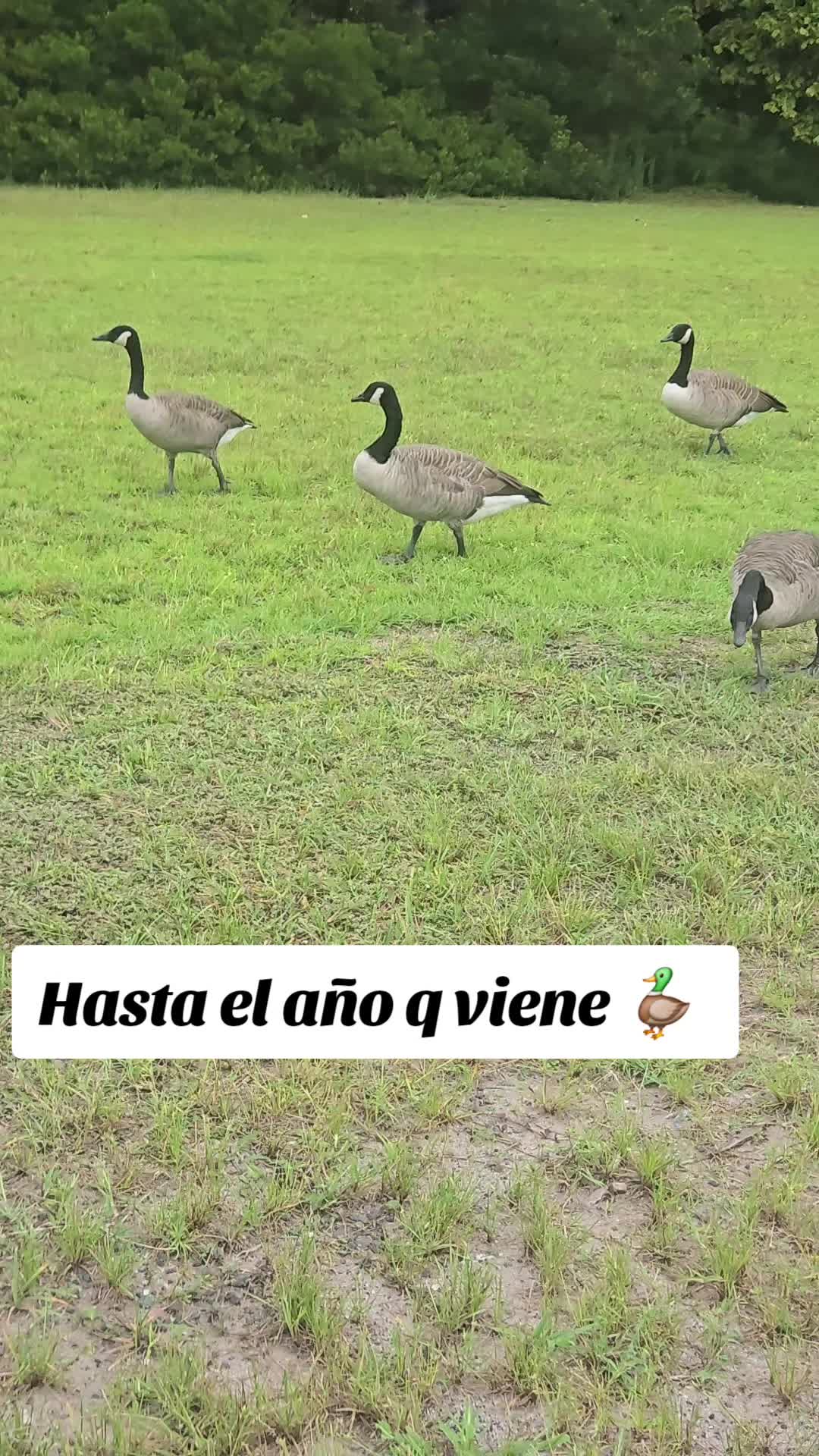 @🌎🫟♊️ANDREA♊️🫟🌍