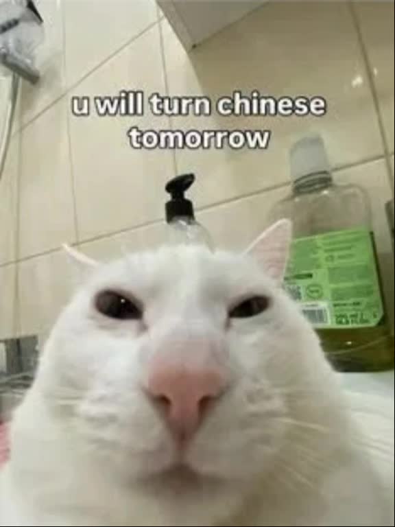 @Adamior