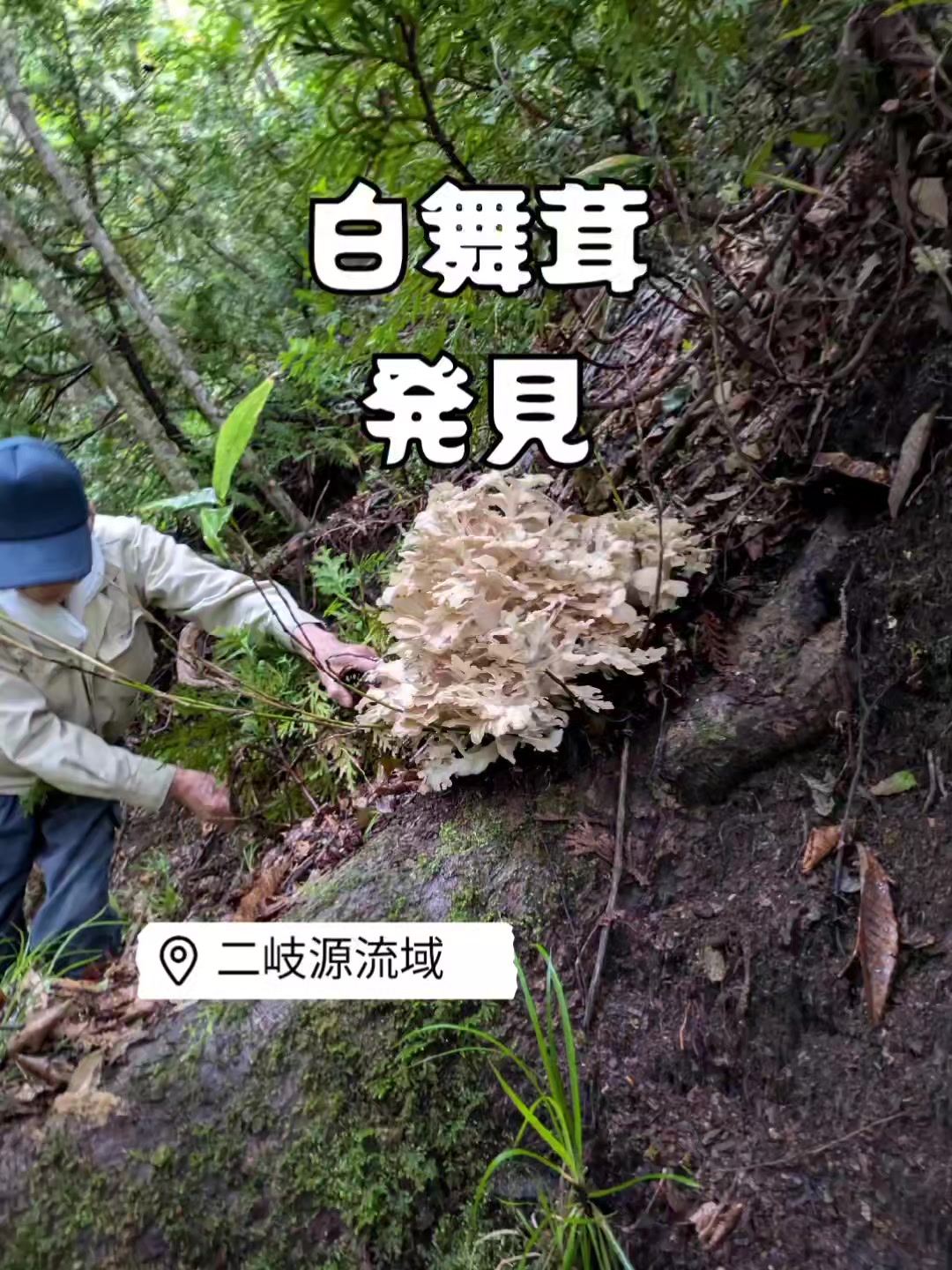 @若旦那