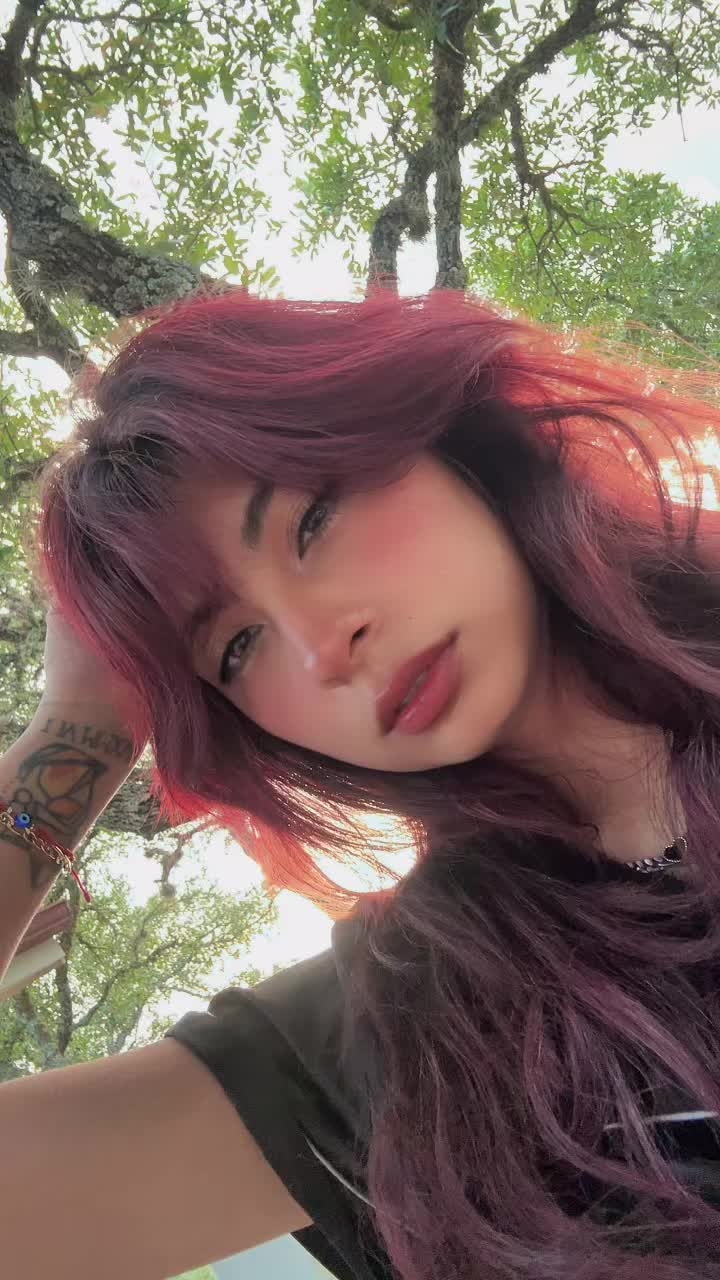 @🌺Violet Flowers🌺
