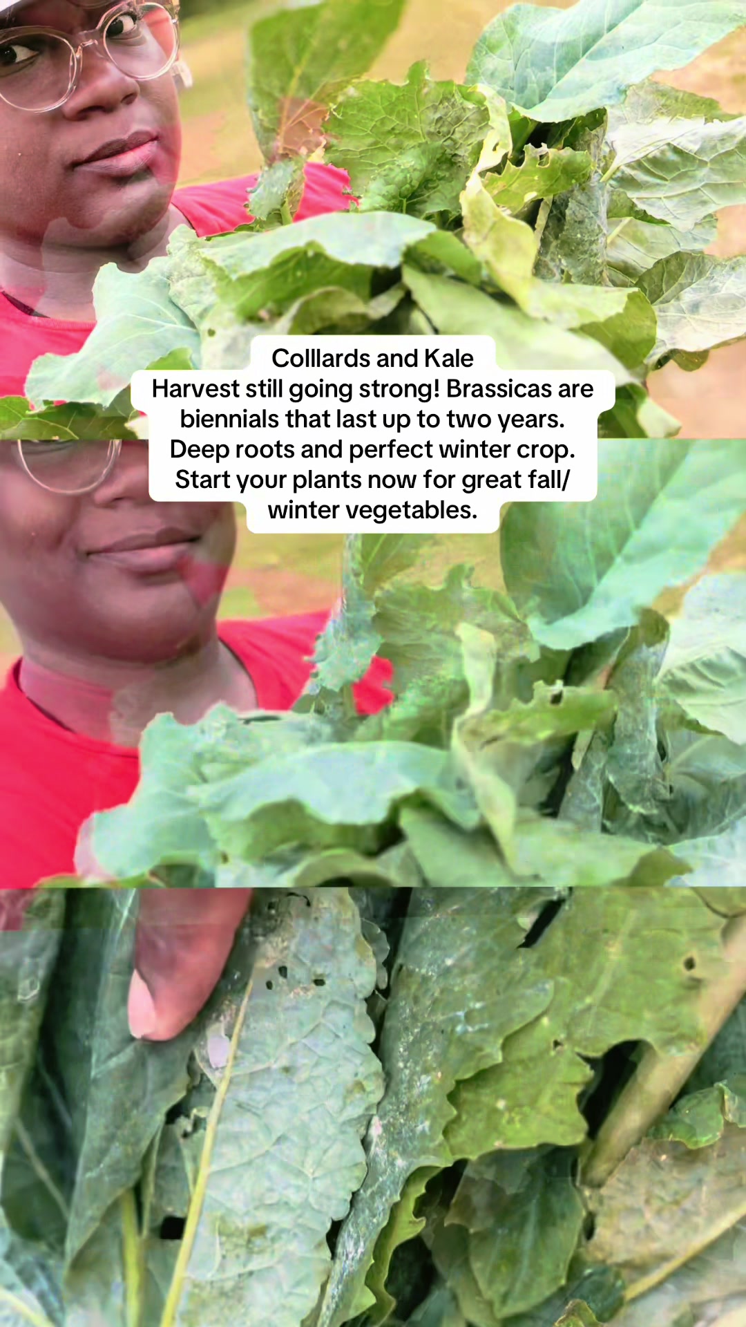 @greengirlgardens