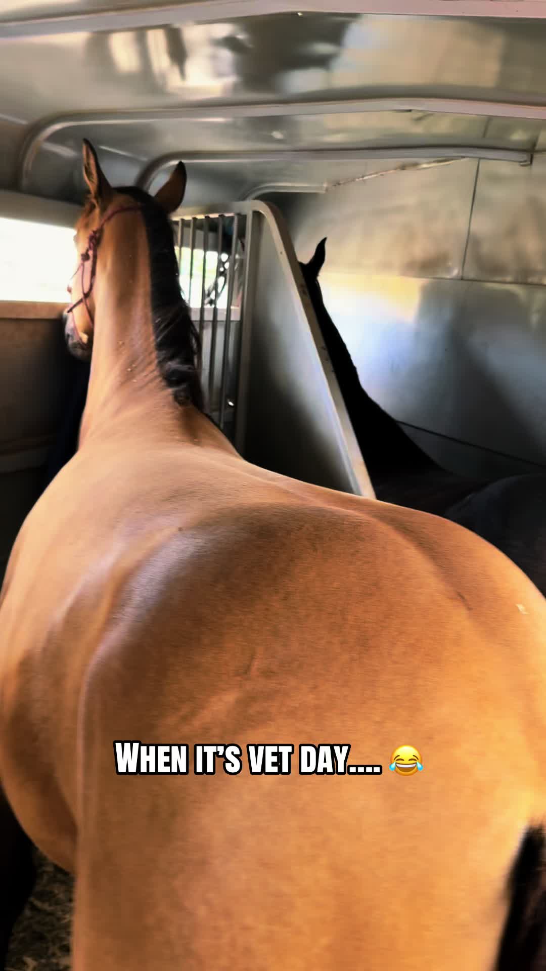 @Cowgirl Tuff Colt Training ❤️