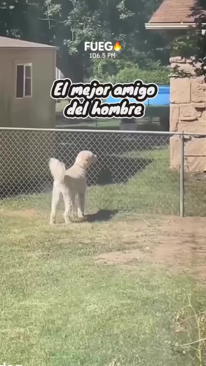@Felipe Andres | Sin Limites 💢