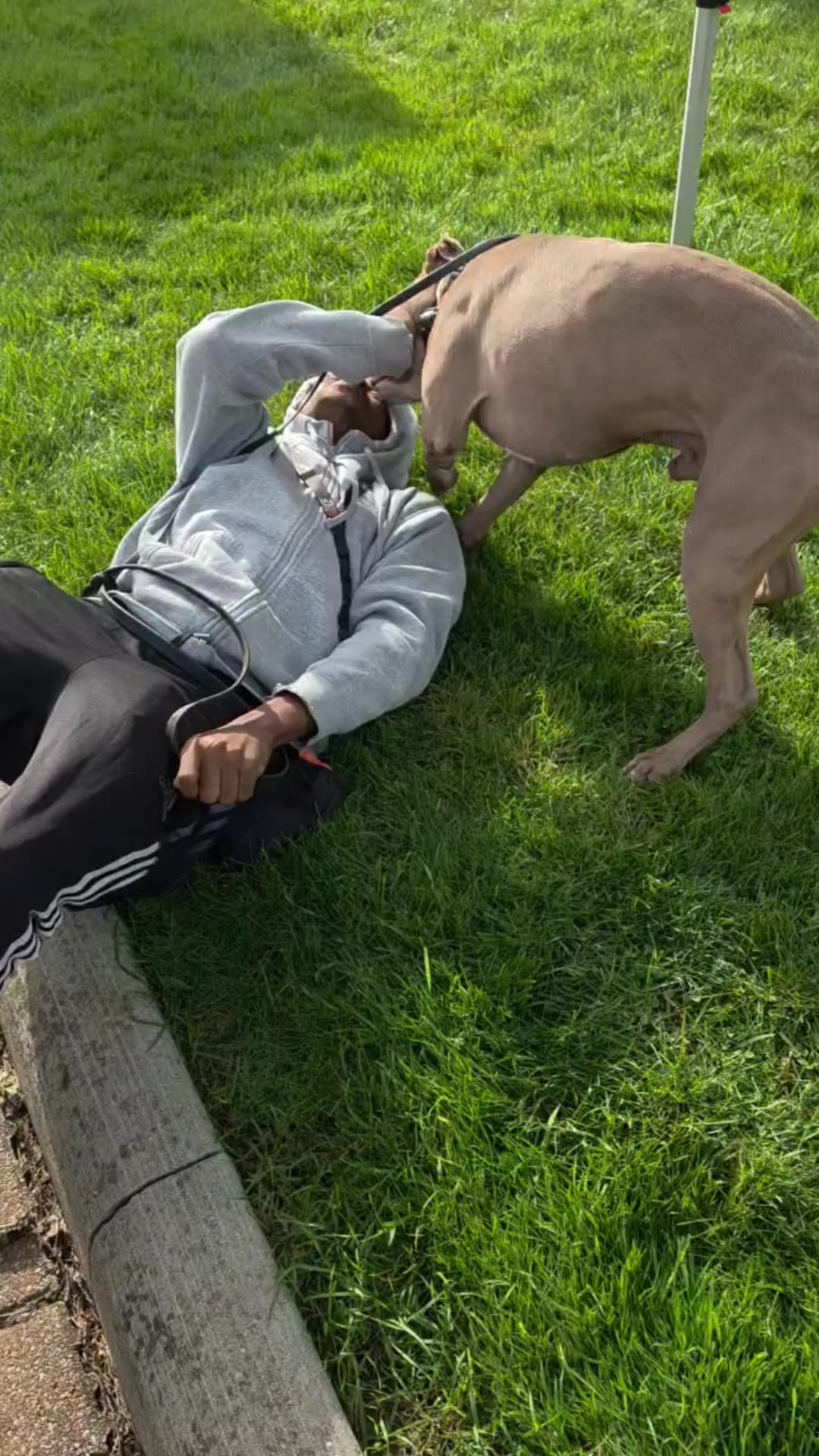 @Jay TheDog Trainer
