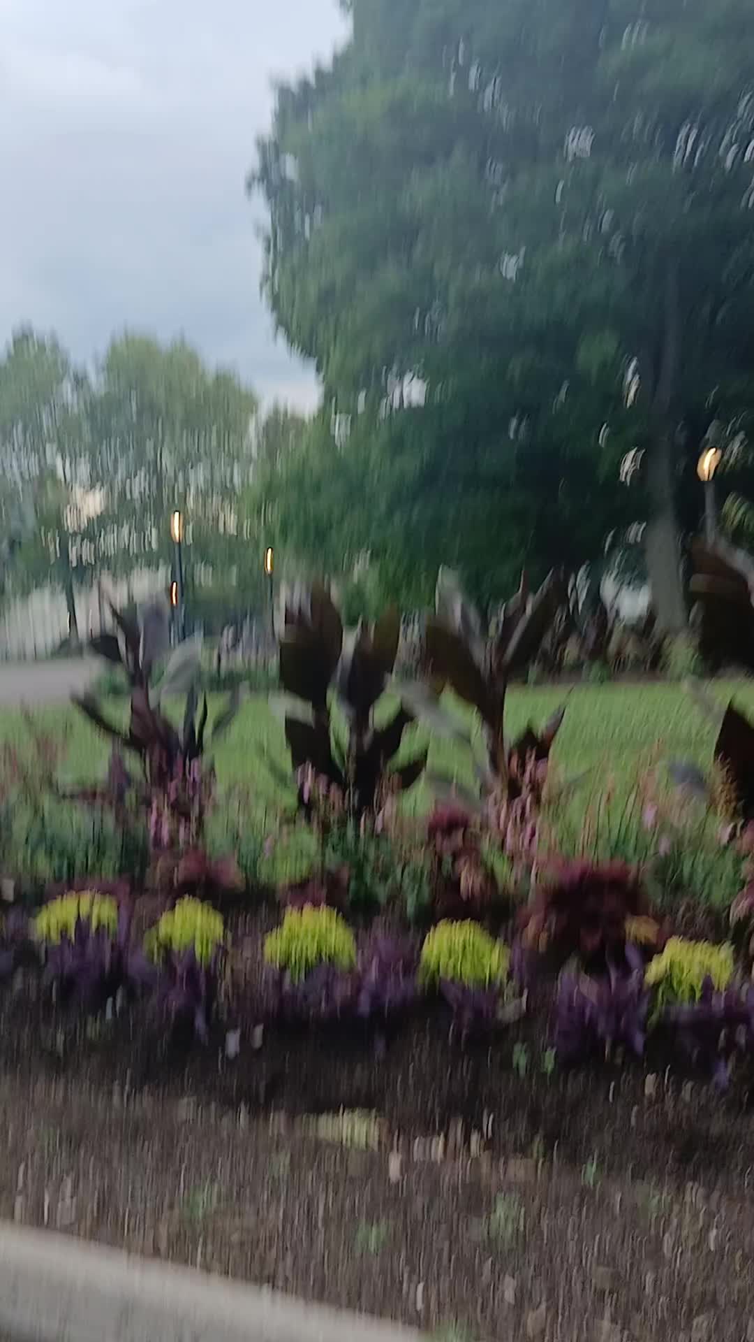 @🇲🇽 Jeyci 🇲🇽