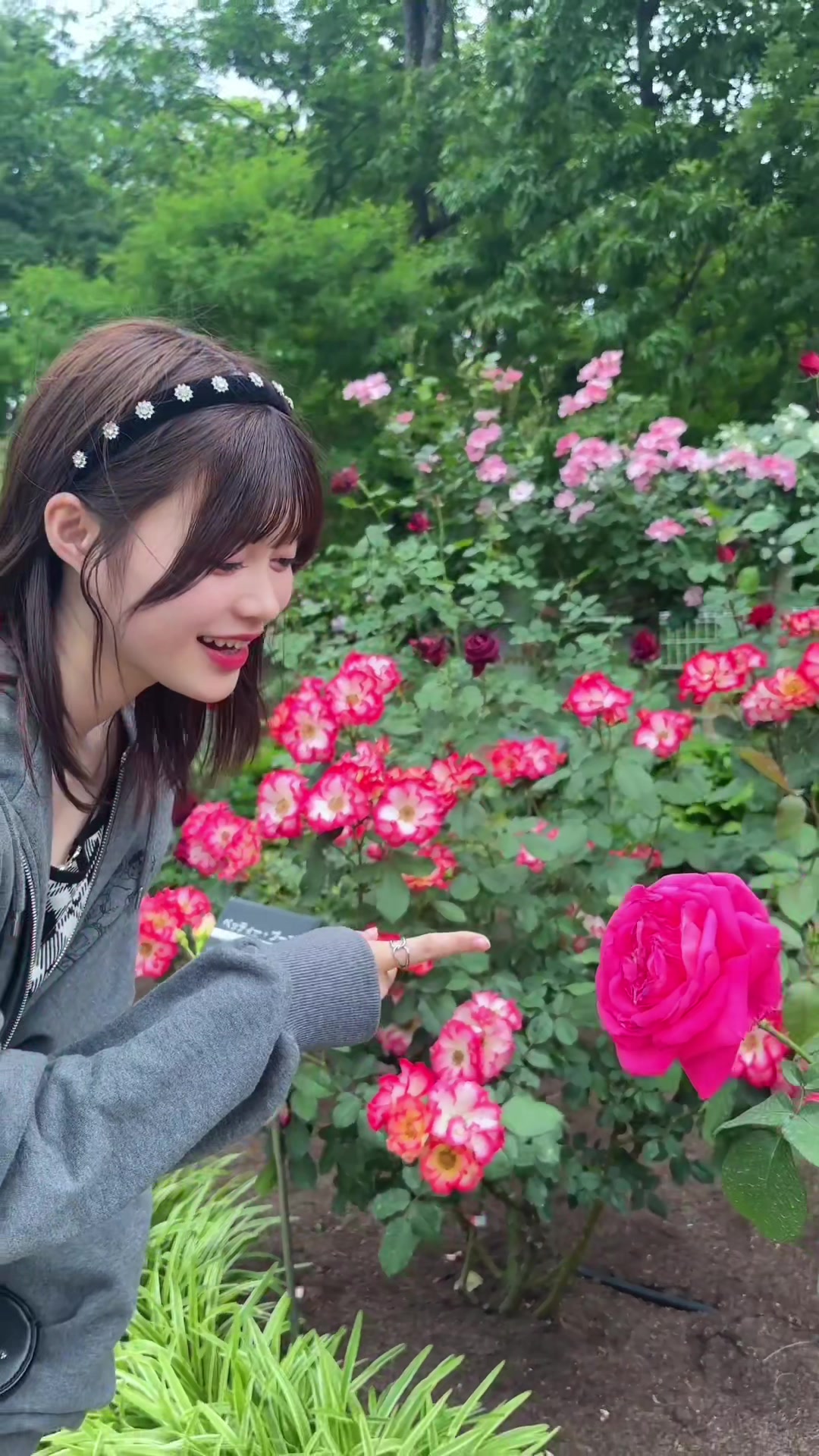 @畠山 希美（はたけやま のぞみ）
