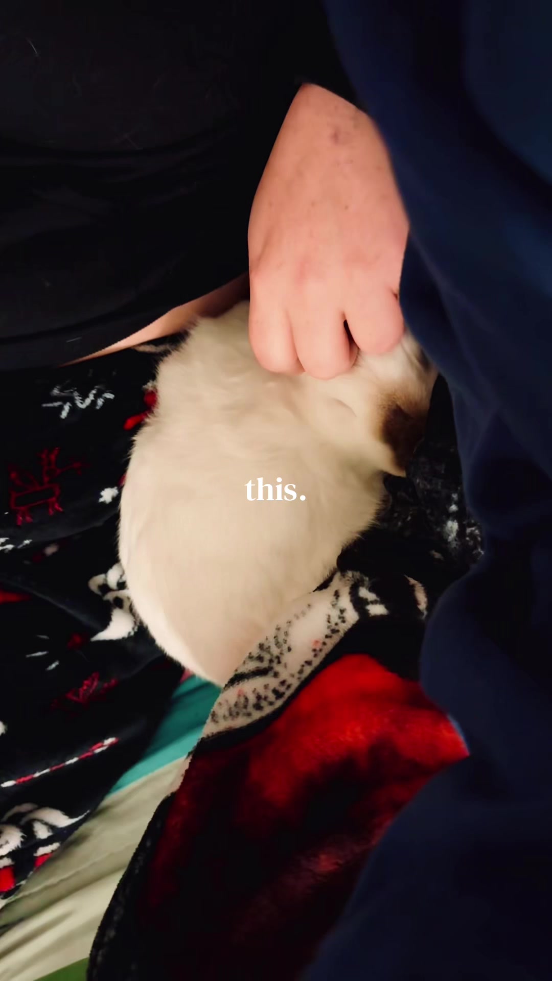 @Bunnie