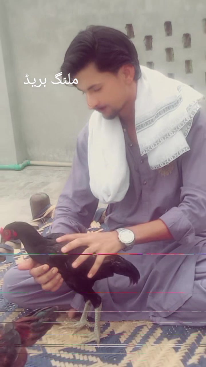 @ZAHID GUJJAR 2088