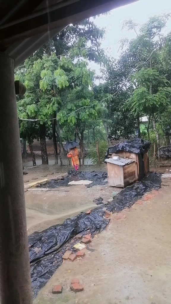 @বাঁশখালী ছেলে ফরহাদ