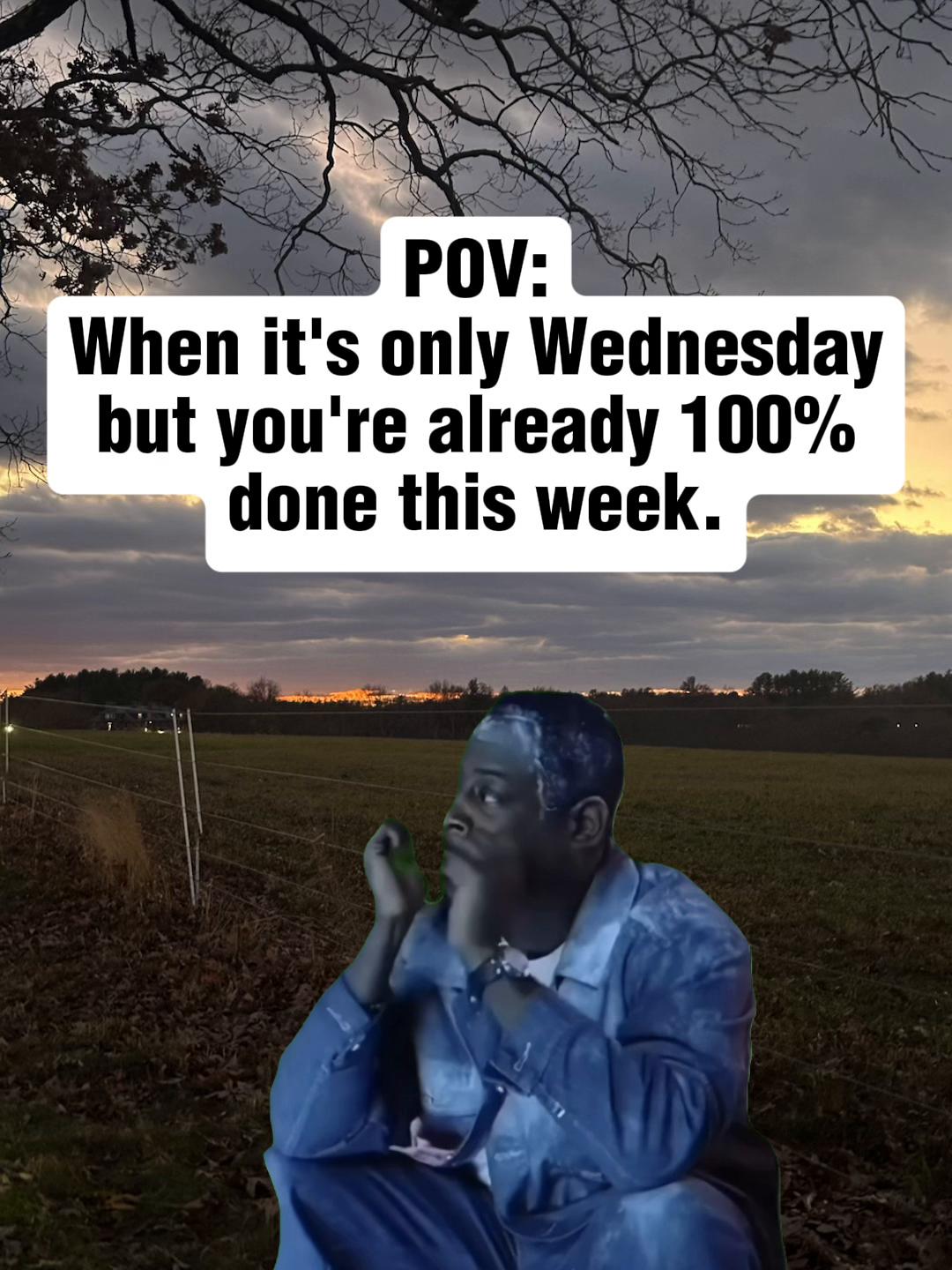 @Quotes.Memes.Queen
