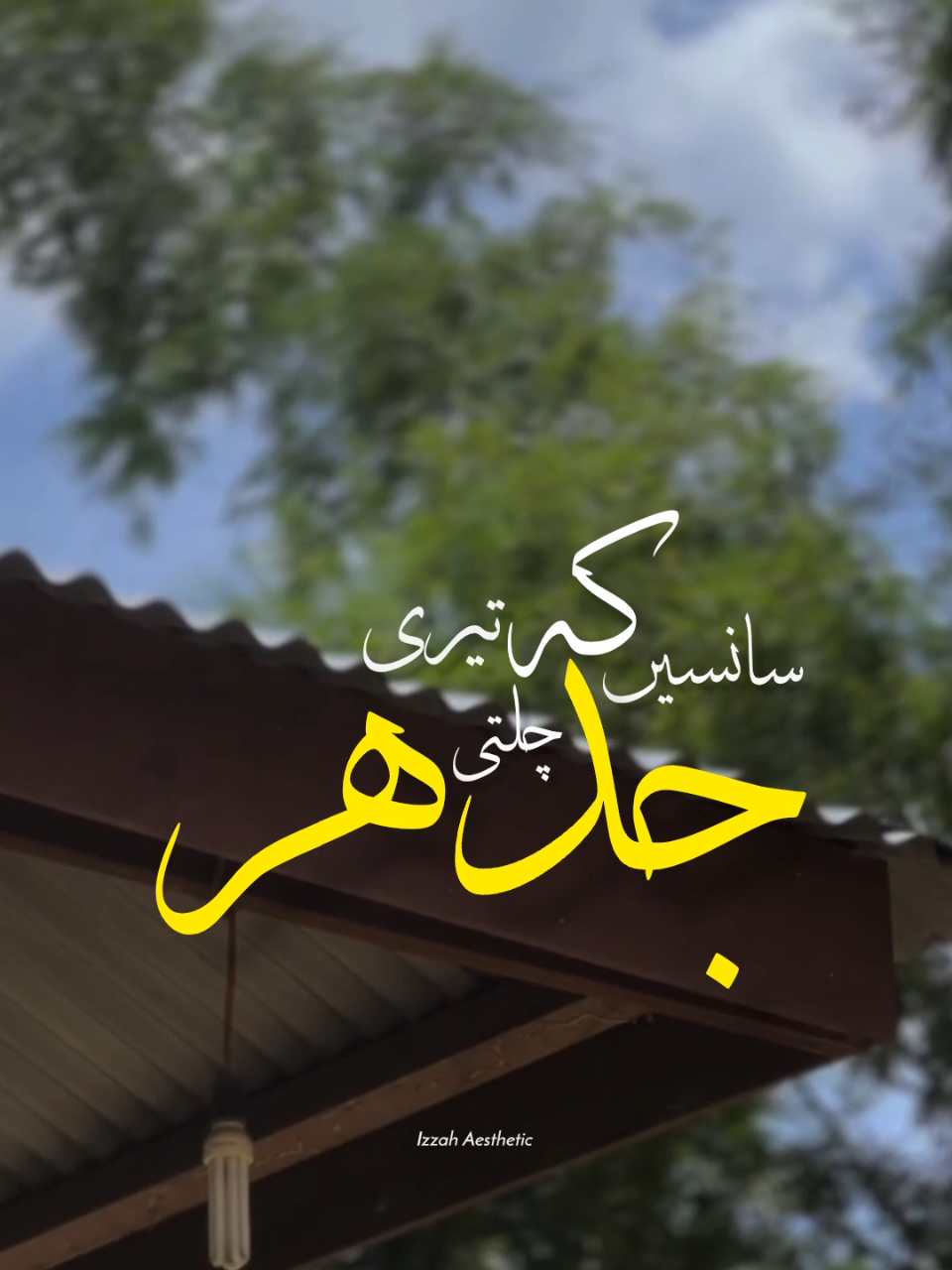 @𝙄 𝙕 𝙕 𝘼 𝙃 🕊️•