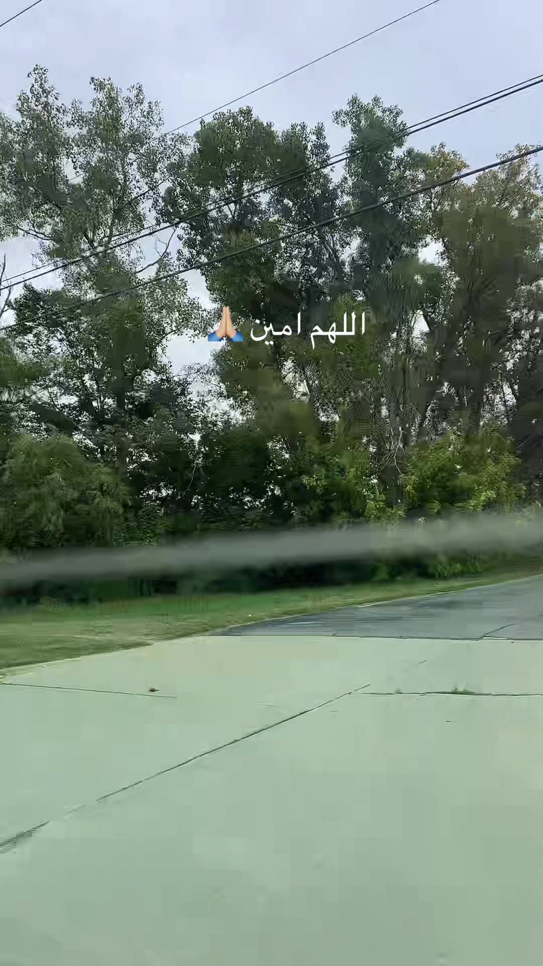 @Banoo✨🪻