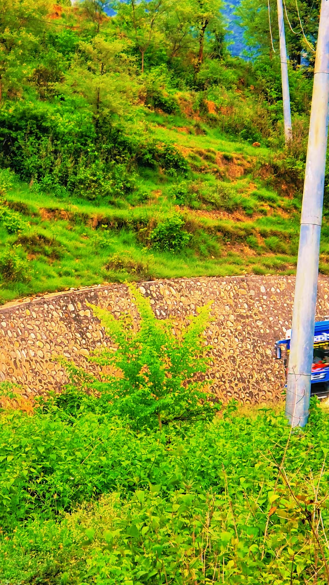 @Rider - krishna -official