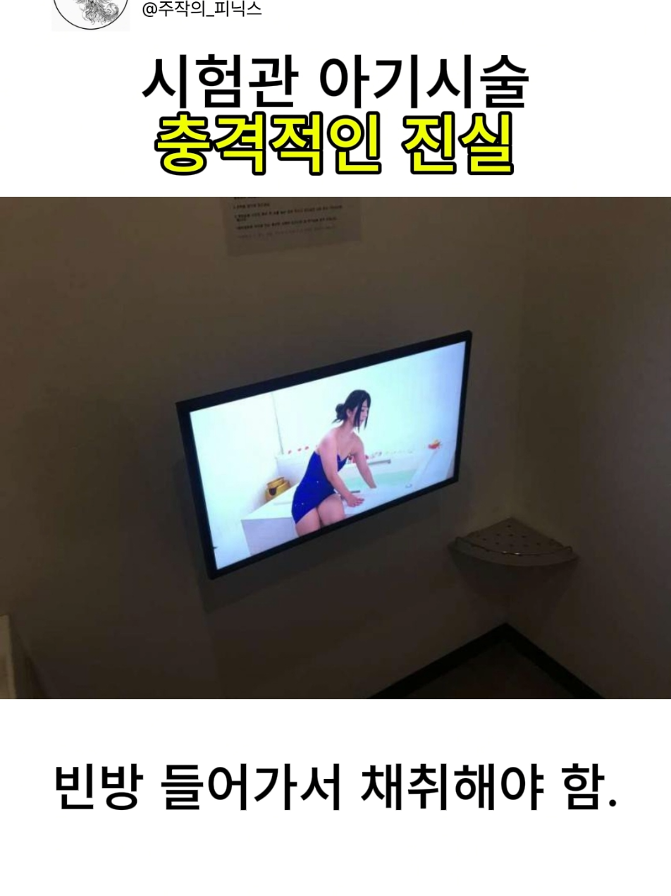 @주작의 피닉스