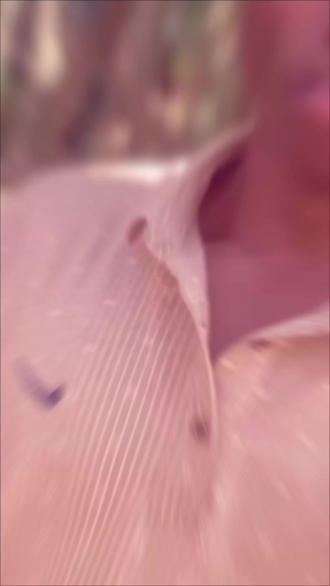 @๐บ๐๐๐๐๐๐๐_ 6๐๐9๐๐๐
