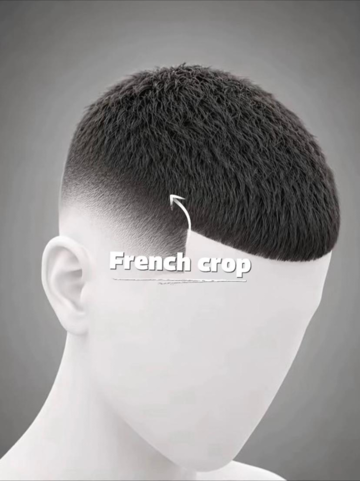 @Hair style knowledge✂️✂️