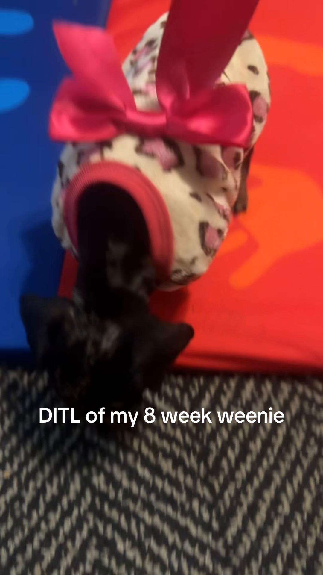 @Mamabeez
