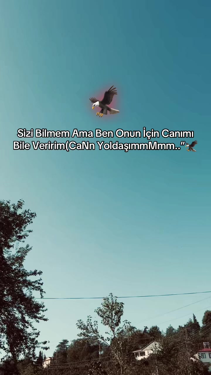 @💦CaNn YuSuF💦