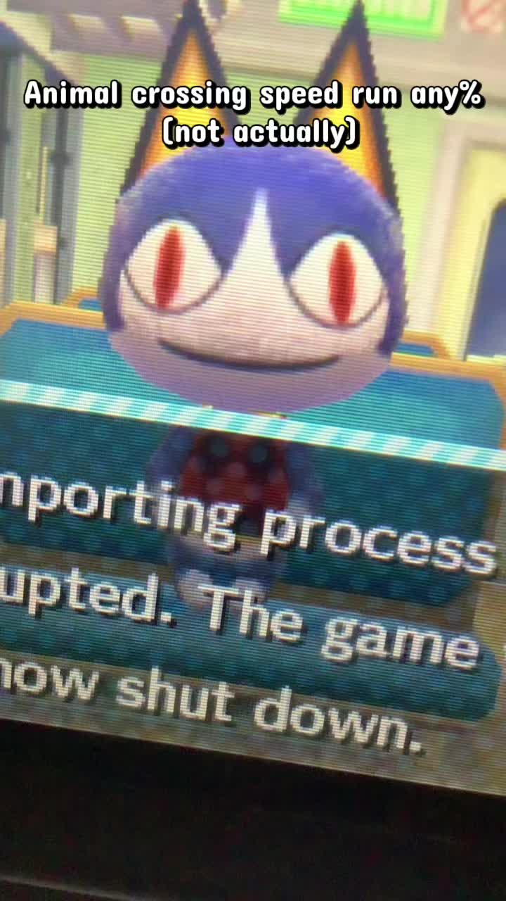 @scruffydolphin