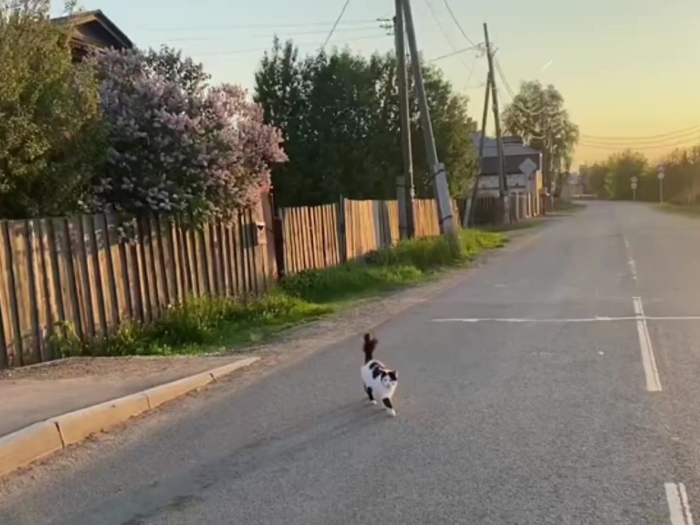 @...))