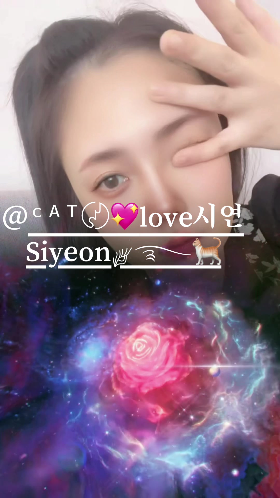 @샤댕이❦⋆