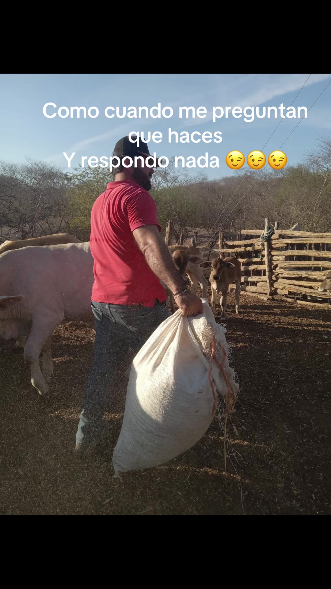 @Jr Robles