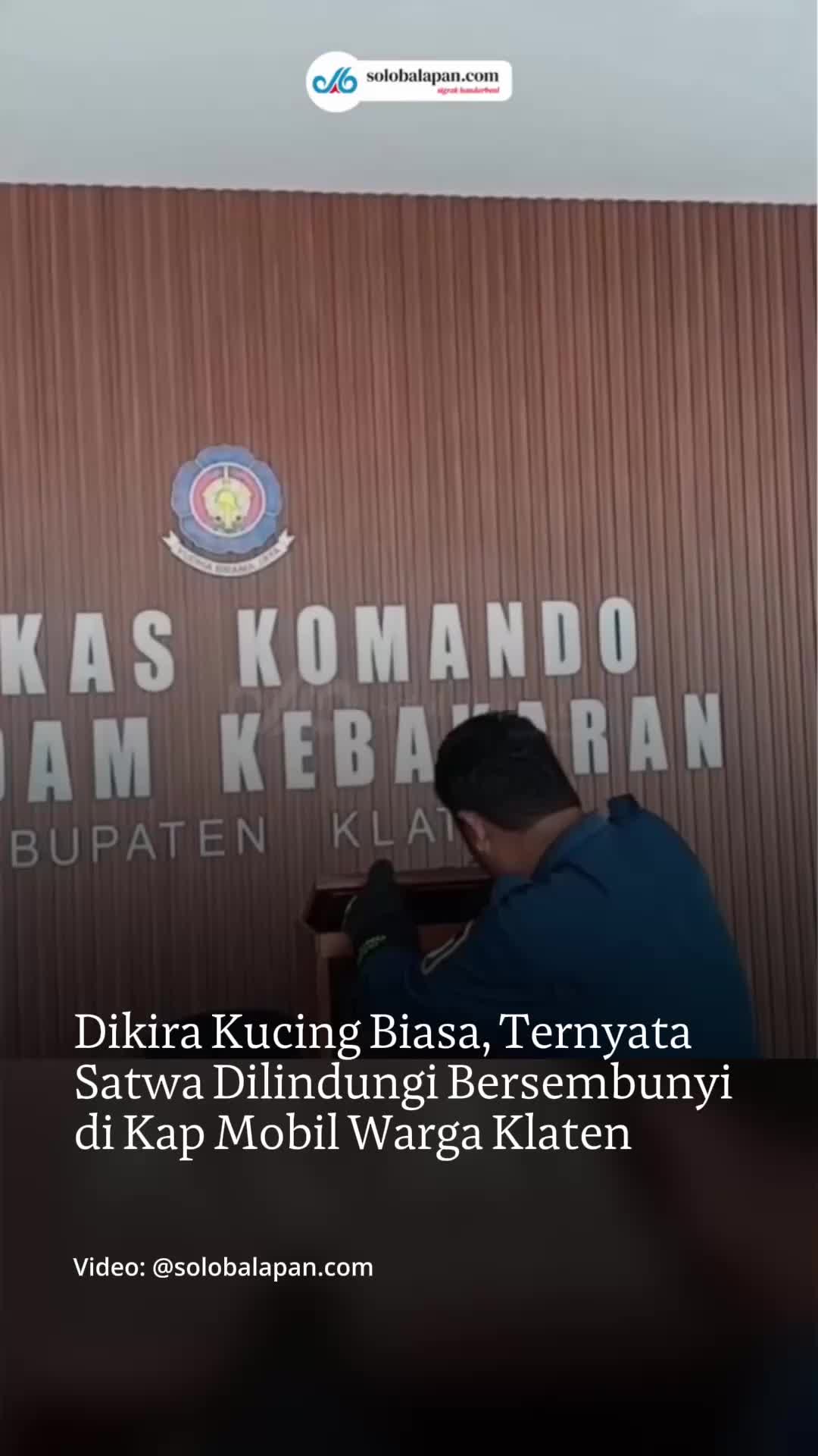 @mongabayindonesia