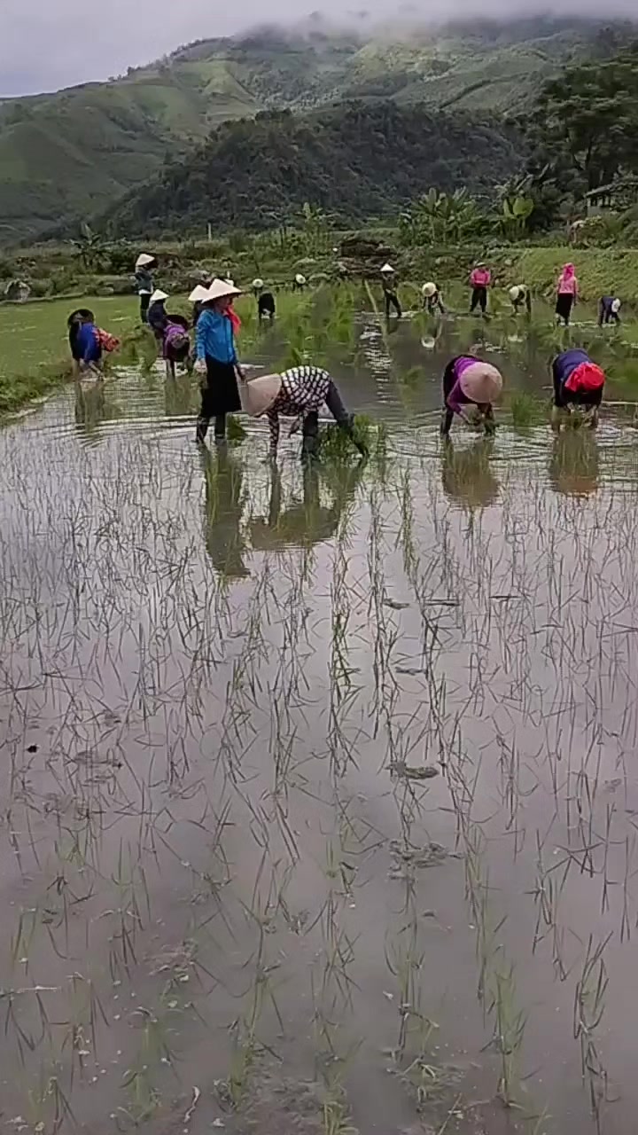 @XuânMai🫶