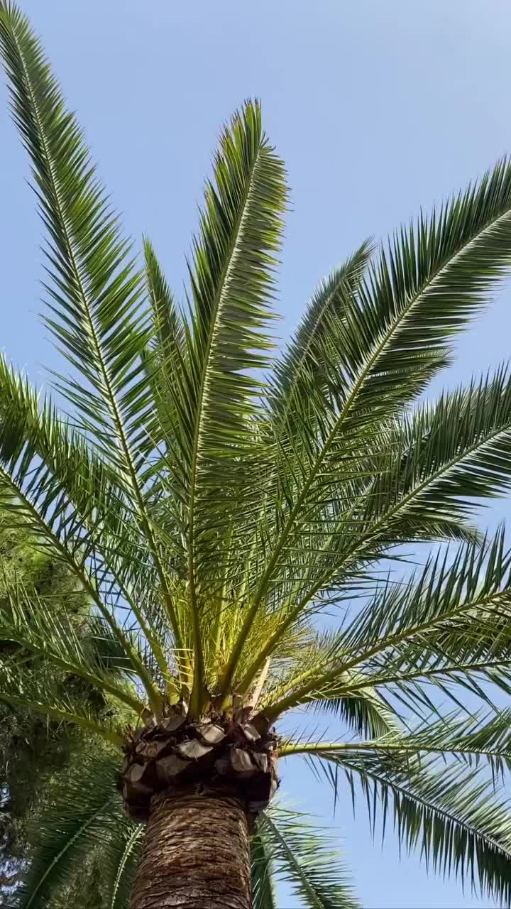 @Discover España