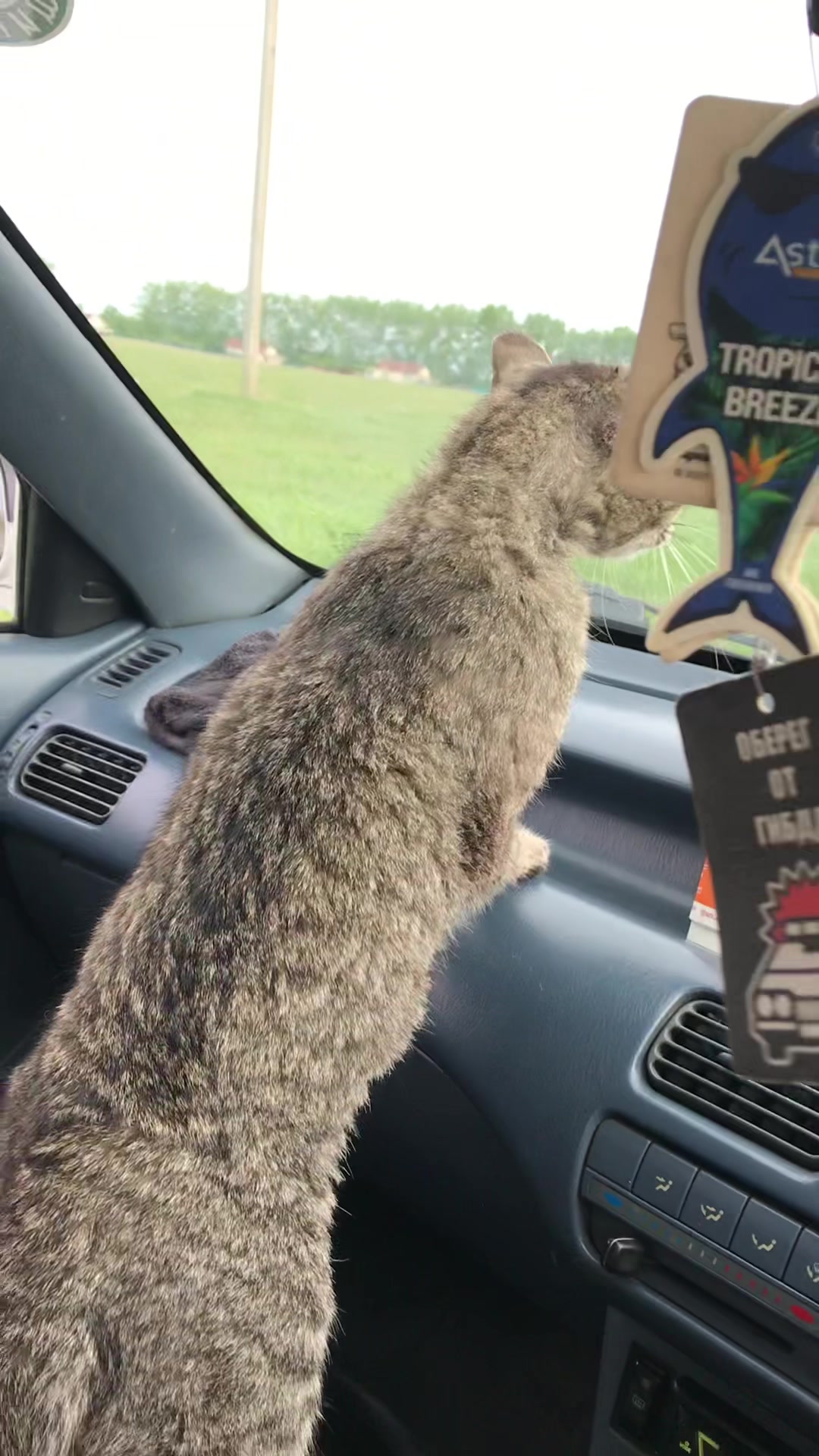 @КузовнойЦех🏎️