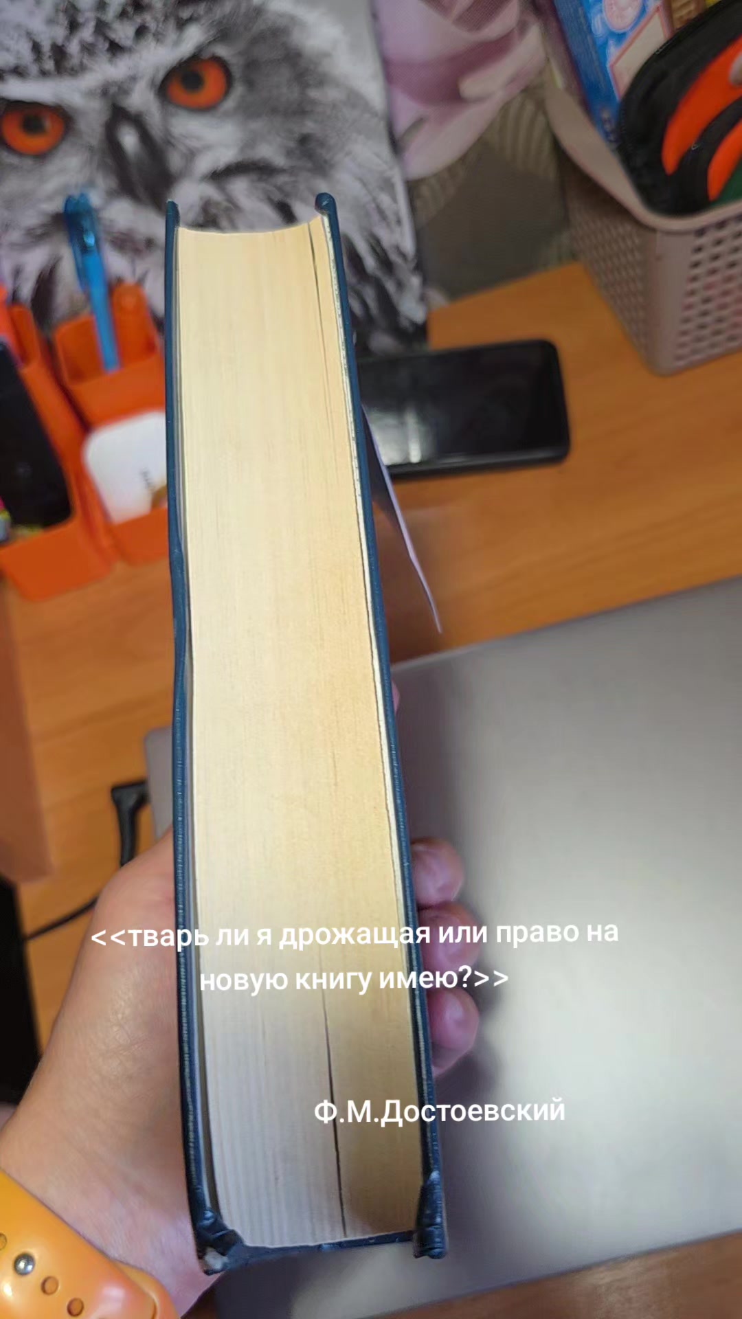 @volkova45